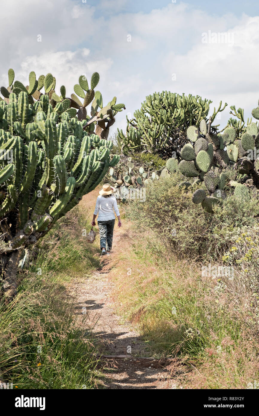 A Woman Walks Down A Trail At The El Charco Del Ingenio Botanical
