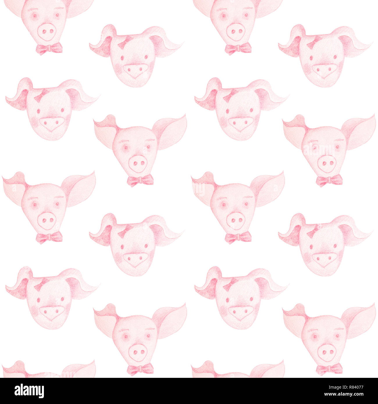 Girl pig with a bow. Boy pig with a bow tie. Isolated muzzle of pigs on