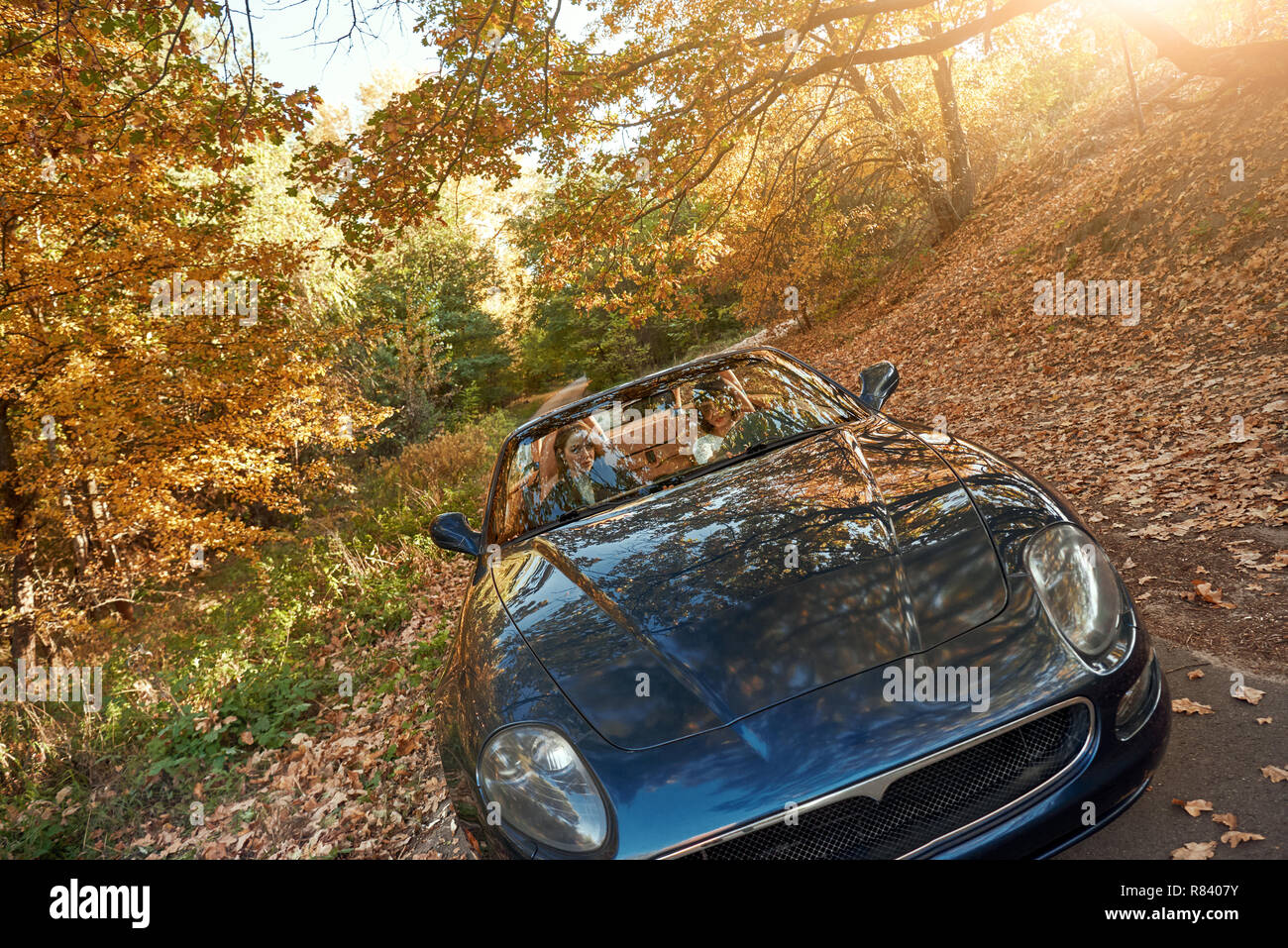 Car driving dark forest hi-res stock photography and images - Alamy