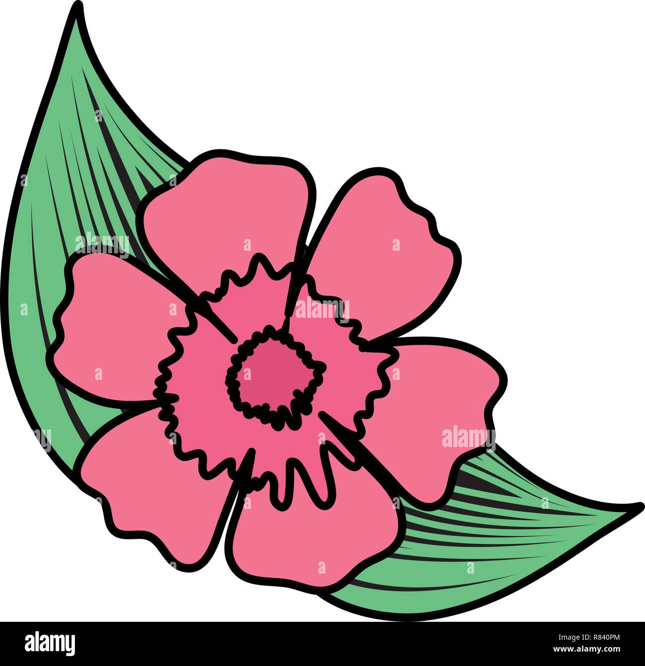 tropical flower icon over white background, vector illustration Stock ...