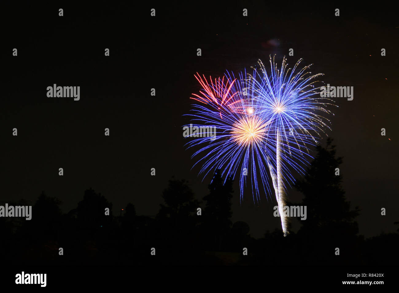 Colorful fireworks display on a dark sky background; Celebrations, Festivals, Independence Day, 4th of July or New Year Stock Photo