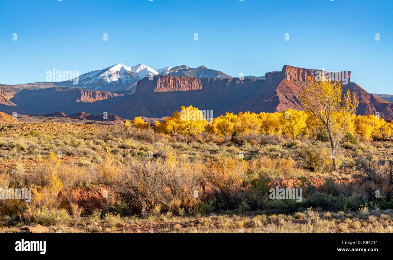 Fall Colors in Castle Valley, UT Stock Photo
