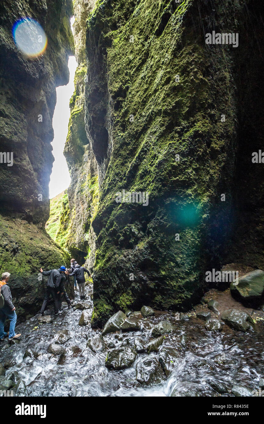Inside the Raudfeldsgja ravine, Sneafellsnes Iceland Stock Photo - Alamy