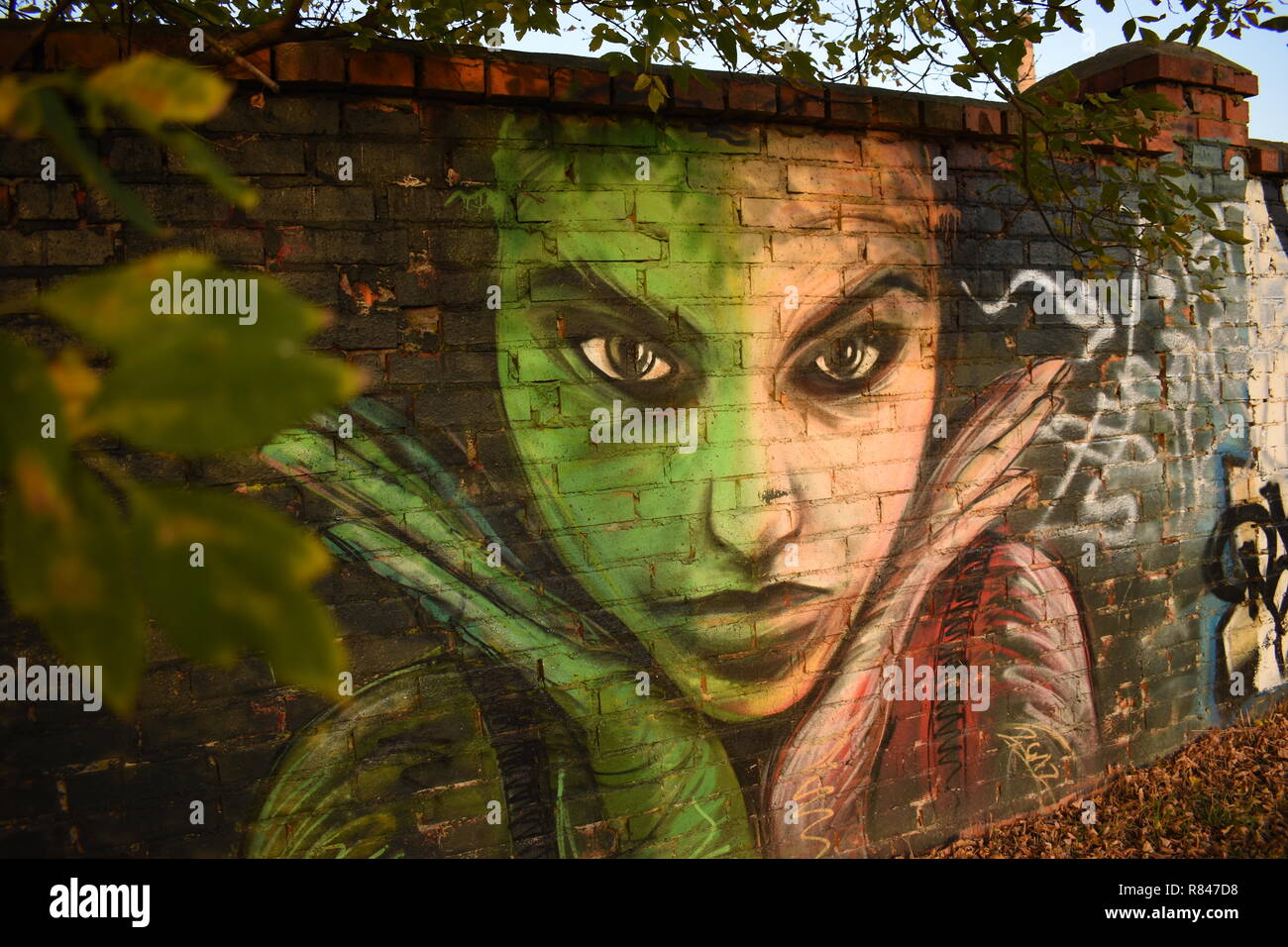 Graffiti of a woman on the wall. Colorful street art. Stock Photo