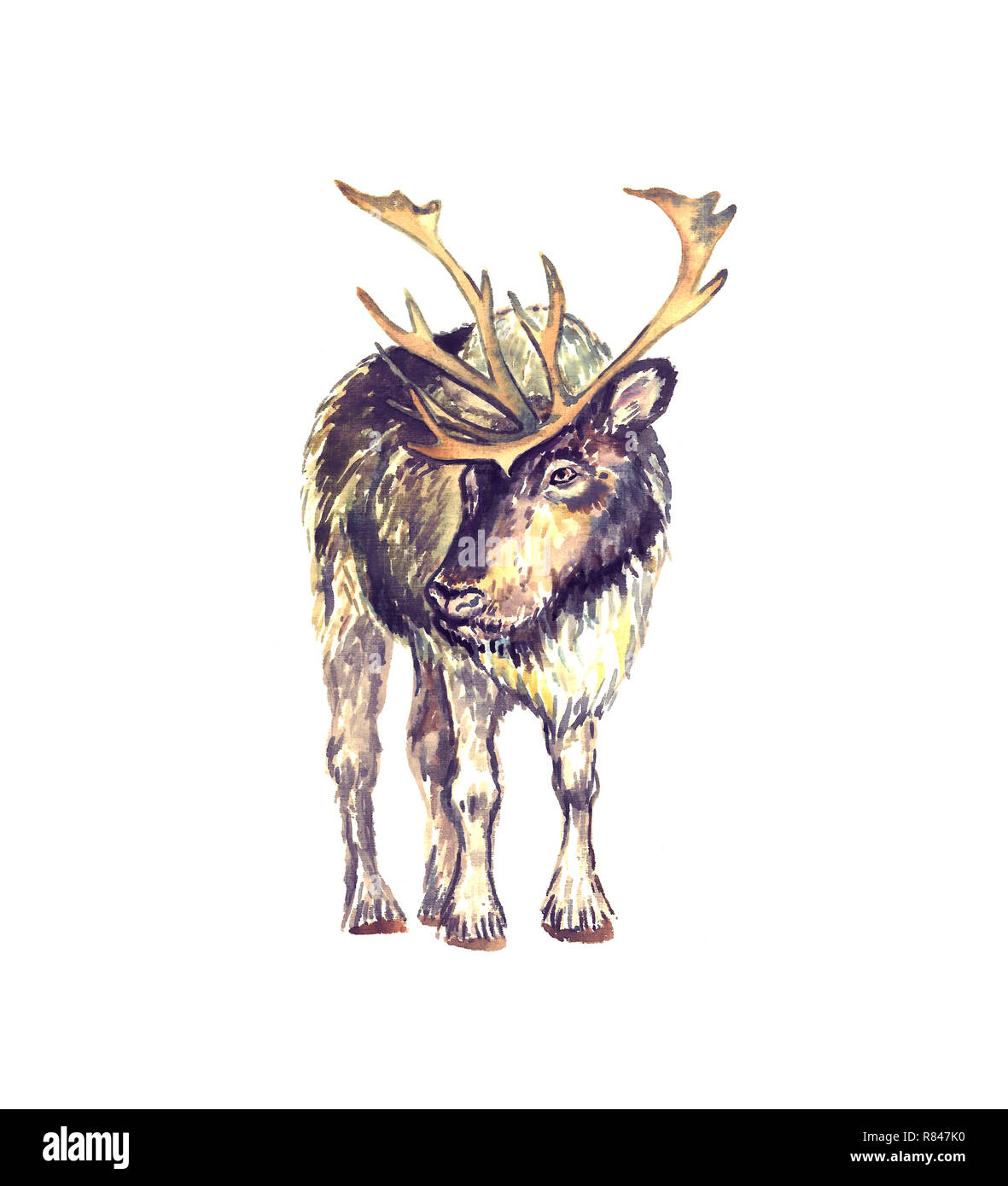 Deer Art Images  Free Download on Freepik