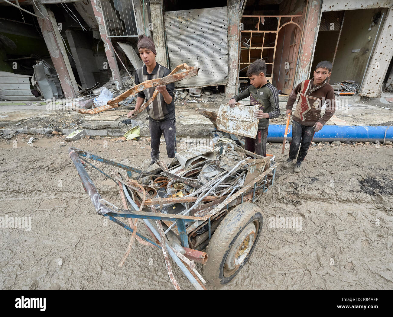 Boys scavenge recyclable metal and plastic from rubble in the old city of Mosul, Iraq. Stock Photo