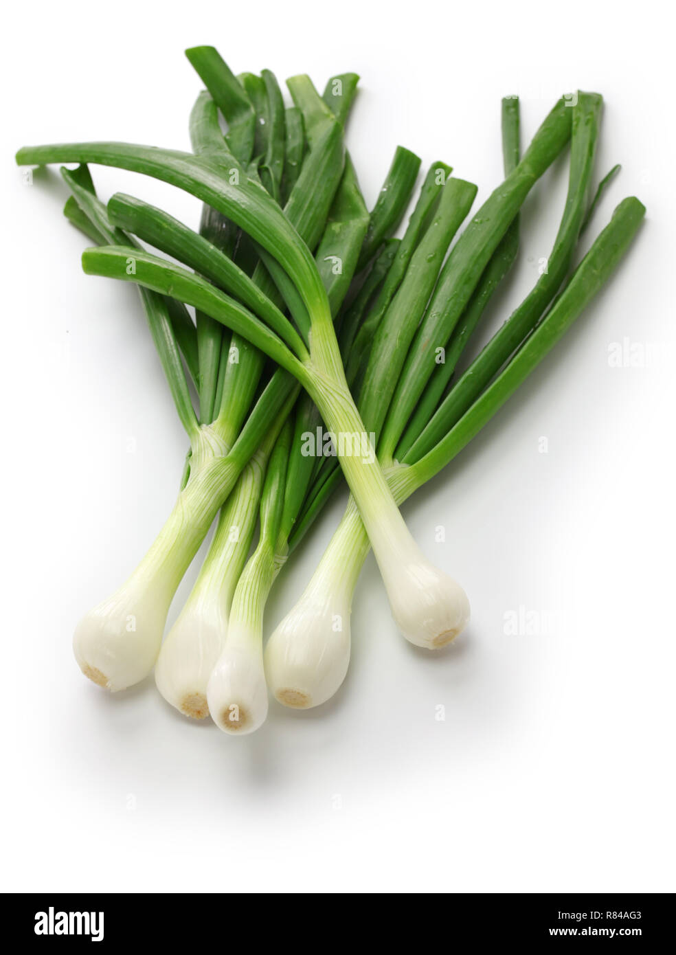 green onion, spring onion Stock Photo
