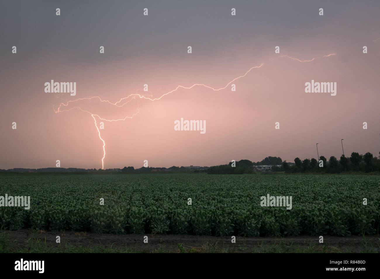 A bright lightning bolt strikes on earth during a severe thunderstorm