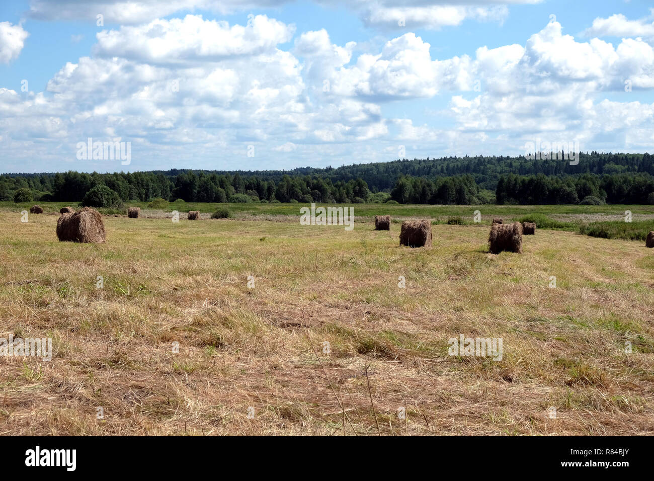 Beautiful rustic landscape with hay rolls on cultivate field under blue ...