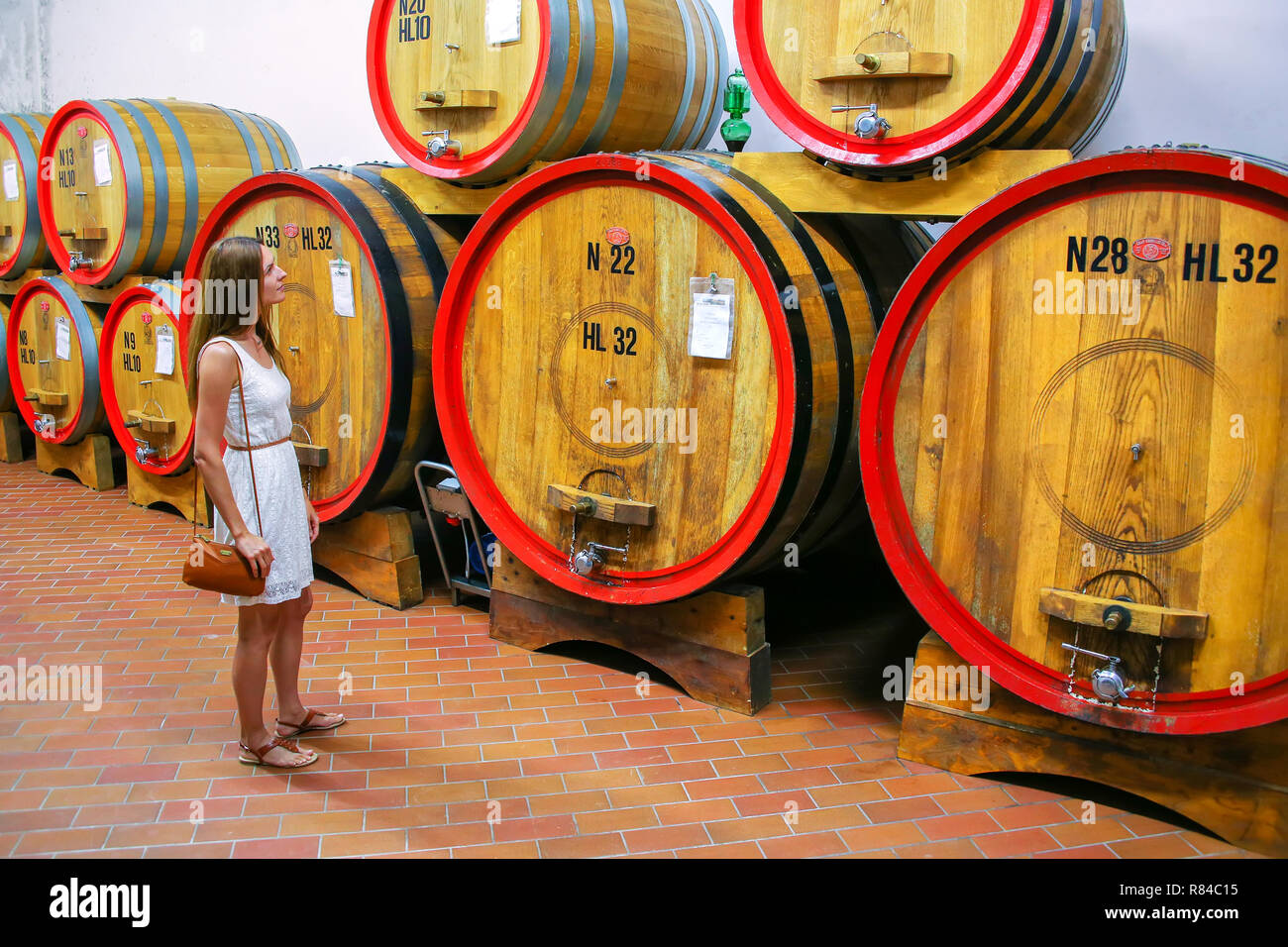 Young woman standing next to wooden barrels at a winery in Montalcino, Val d'Orcia, Tuscany, Italy. Montalcino is famous for its Brunello di Montalcin Stock Photo