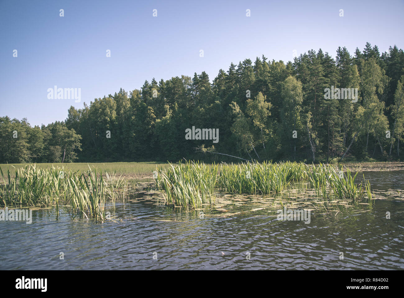 Brasla summer day on water in calm river enclosed in forests with sandstone ...