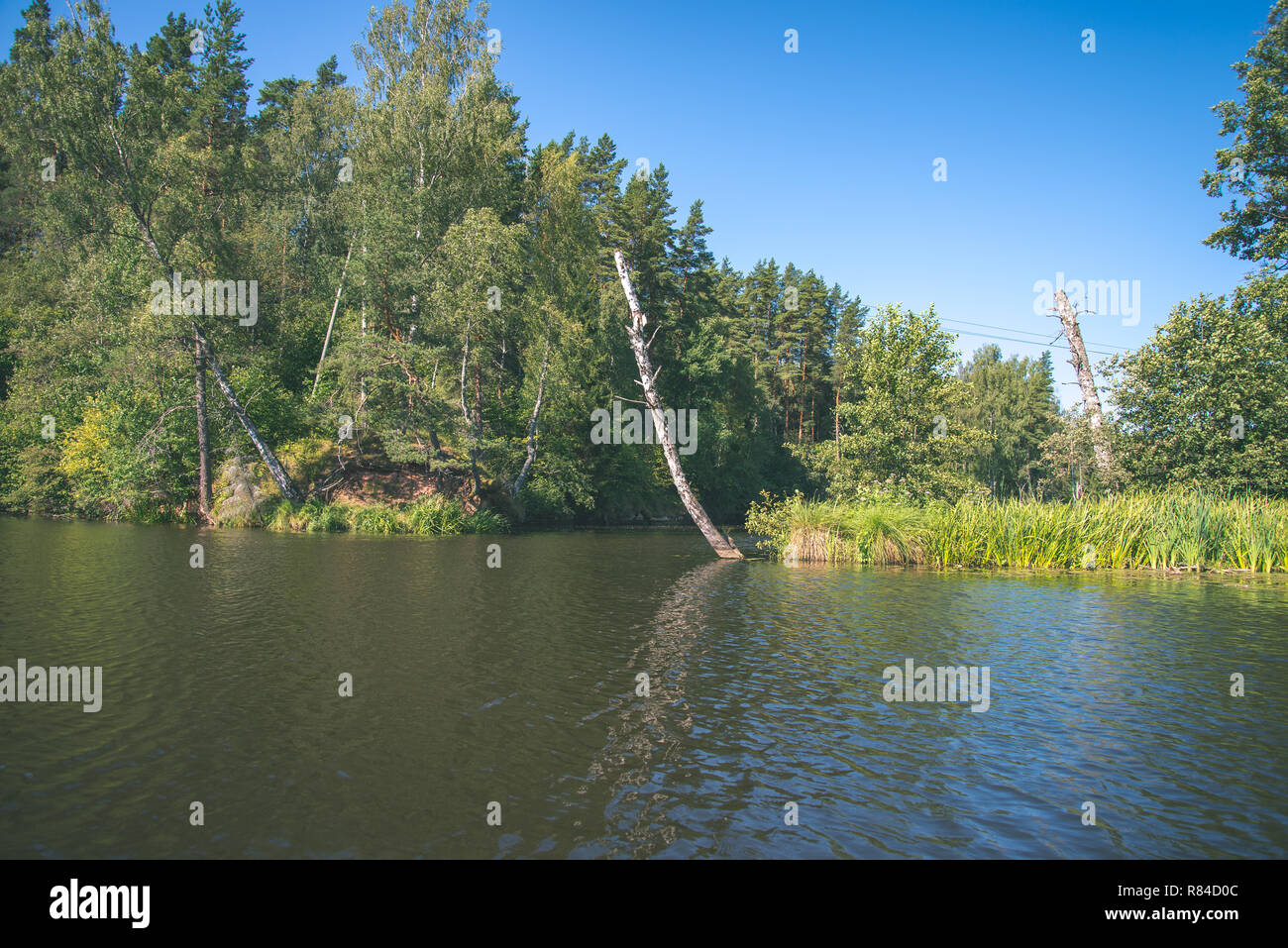 Brasla summer day on water in calm river enclosed in forests with sandstone ...