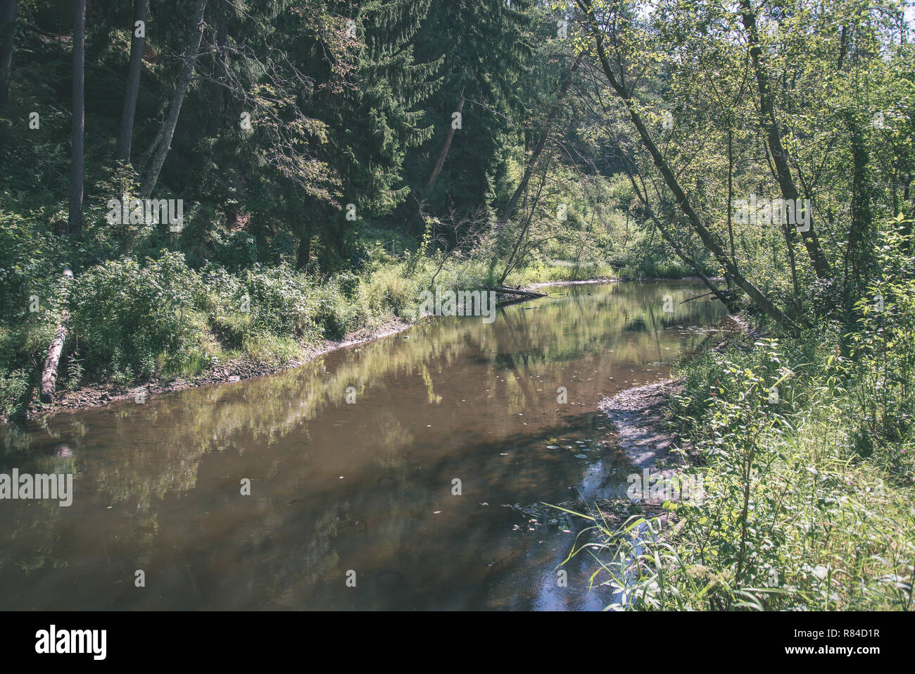 Brasla summer day on water in calm river enclosed in forests with sandstone ...
