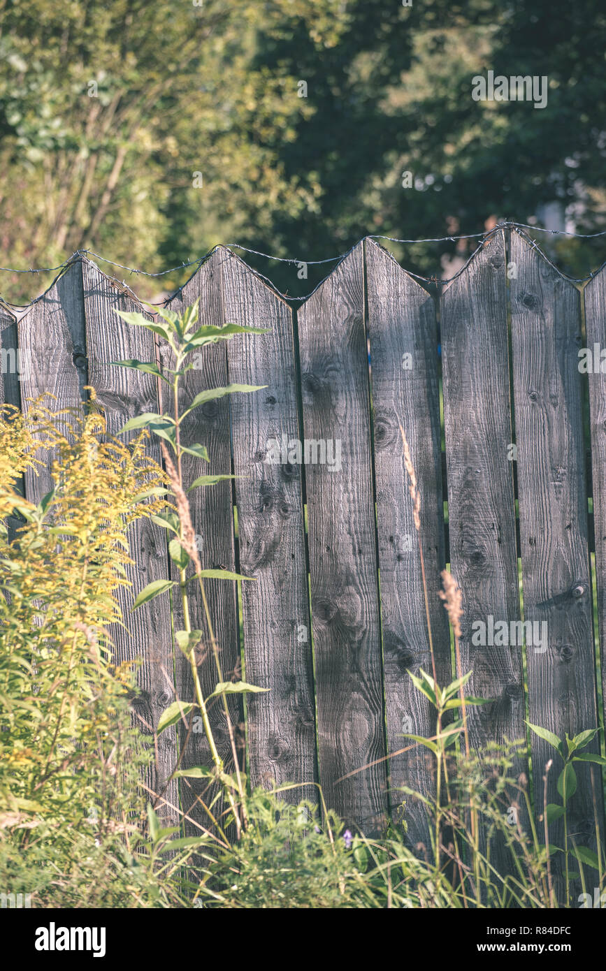 rusty barbed wire on top of old wooden fence in summer with green ...