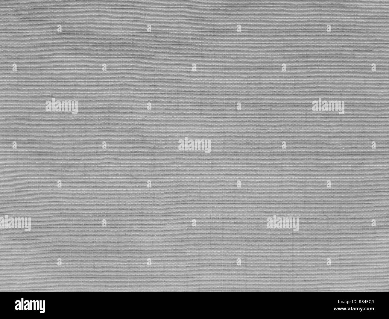 Light gray polyamyde active outerwear fabric texture swatch Stock Photo