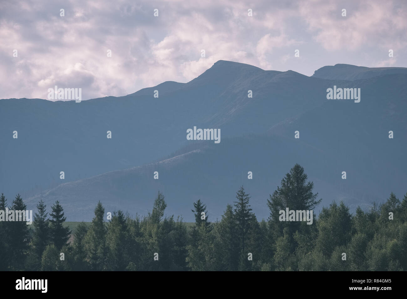 western carpathian mountain tops in autumn covered in mist or clouds ...