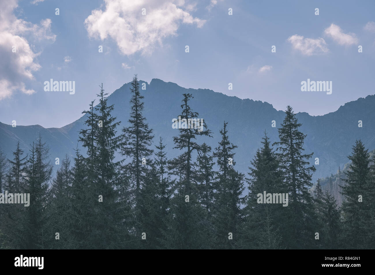 western carpathian mountain tops in autumn covered in mist or clouds ...