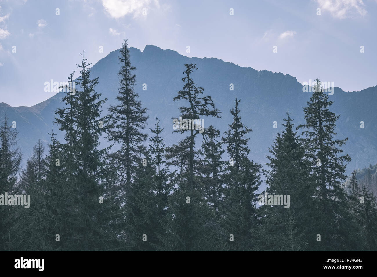 western carpathian mountain tops in autumn covered in mist or clouds ...