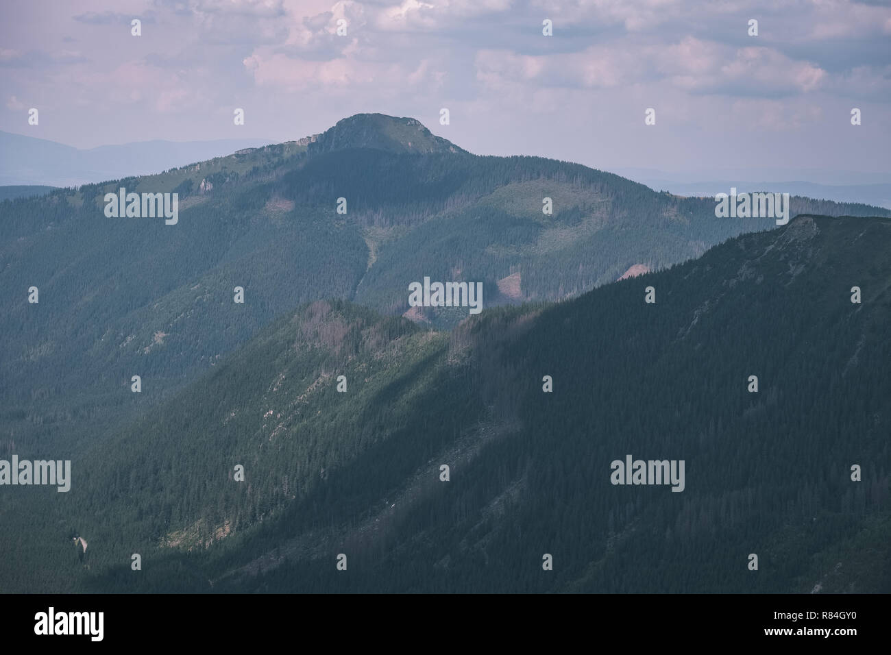 western carpathian mountain tops in autumn covered in mist or clouds ...