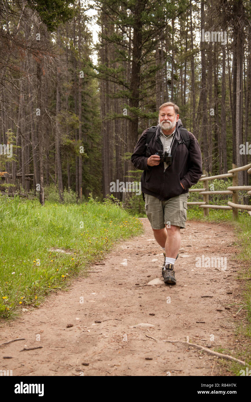 Banff National Park, Alberta, Canada.  Man with binoculars walking on dirt trail.  (MR) Stock Photo