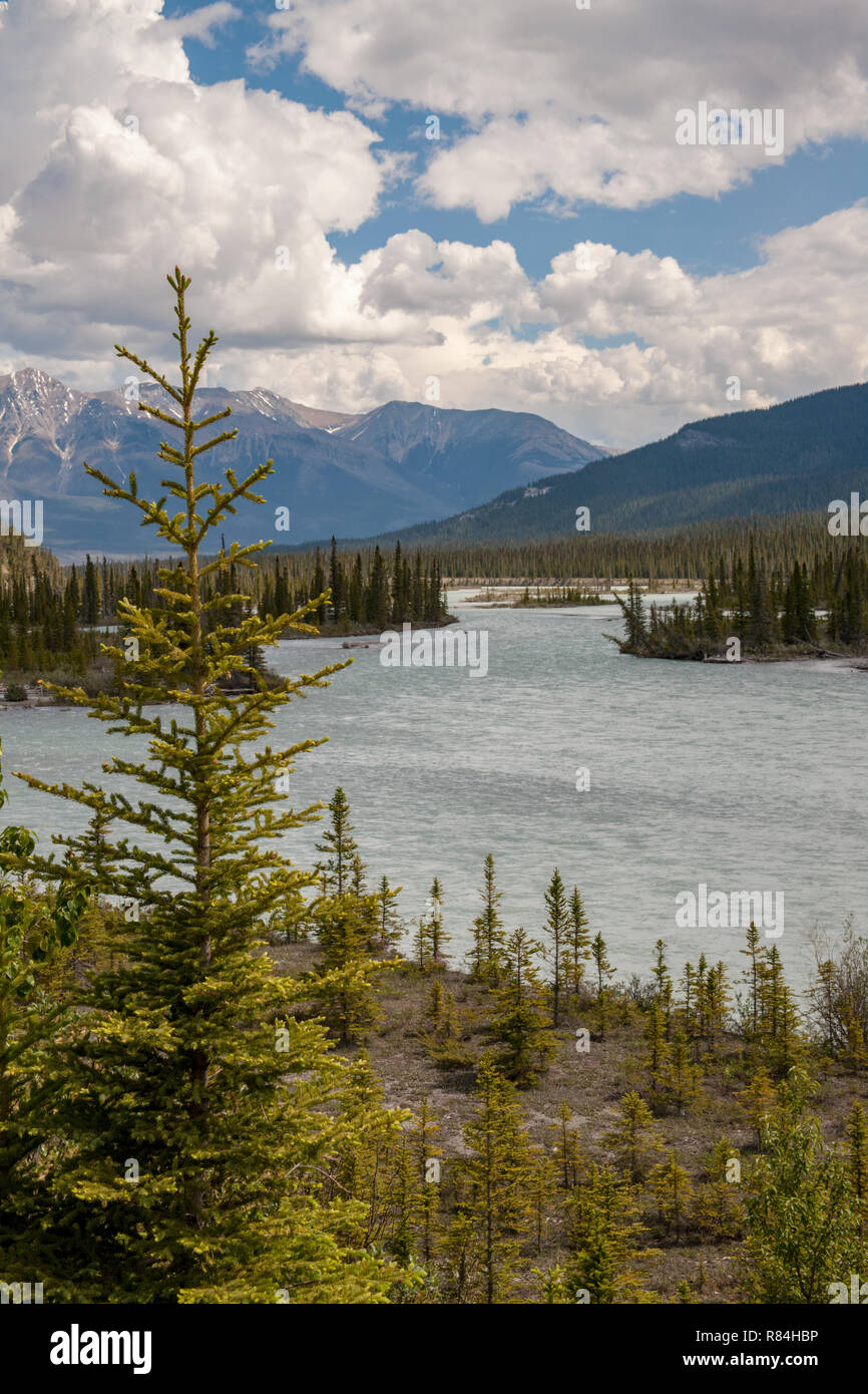Banff National Park, Alberta, Canada.  Scenic view of the Athabasca River along the Icefields Parkway. Stock Photo