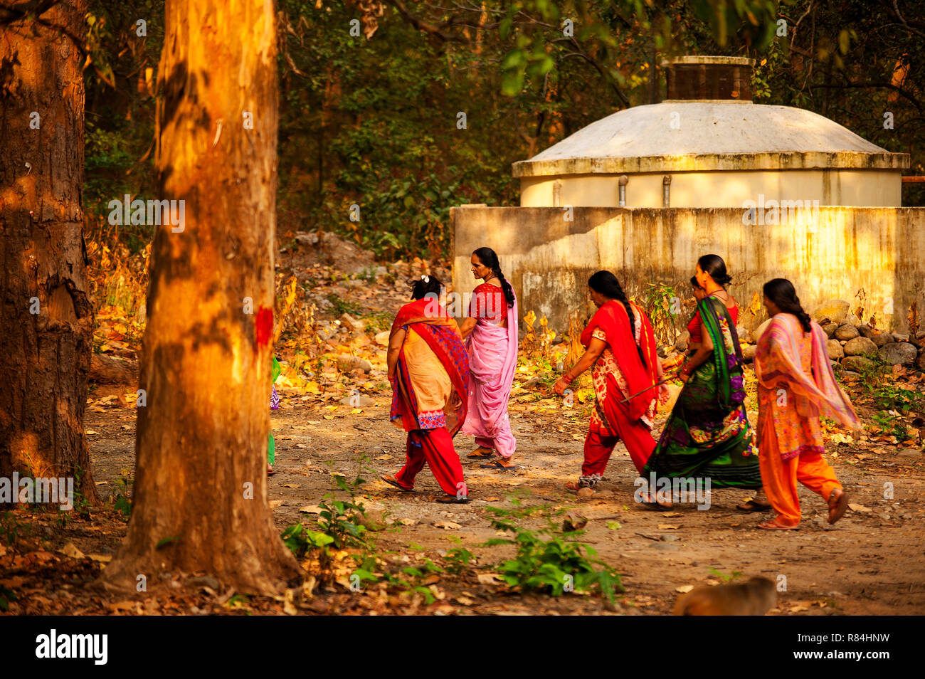 Indian Woman In Sari Walking High Resolution Stock Photography and ...