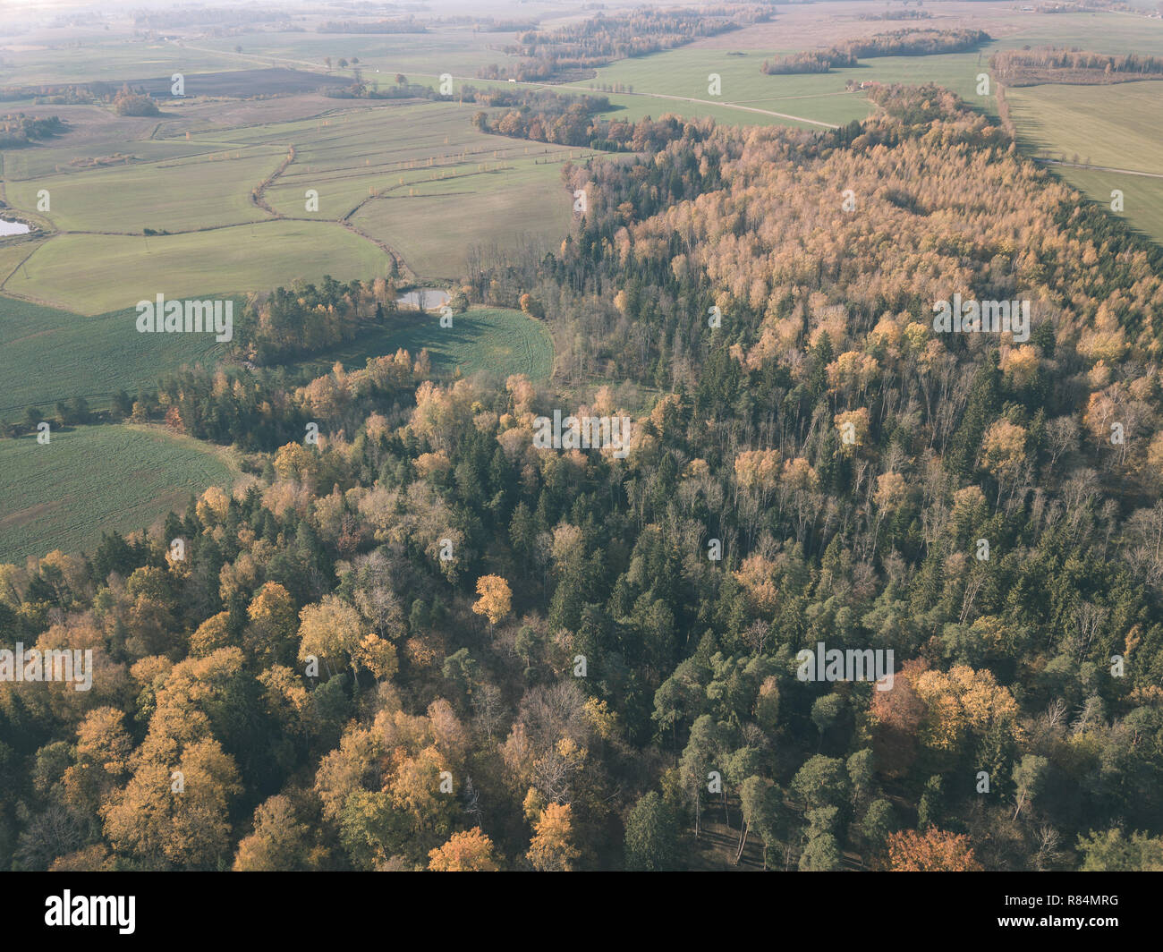 drone image. aerial view of rural area with fields and forests in ...