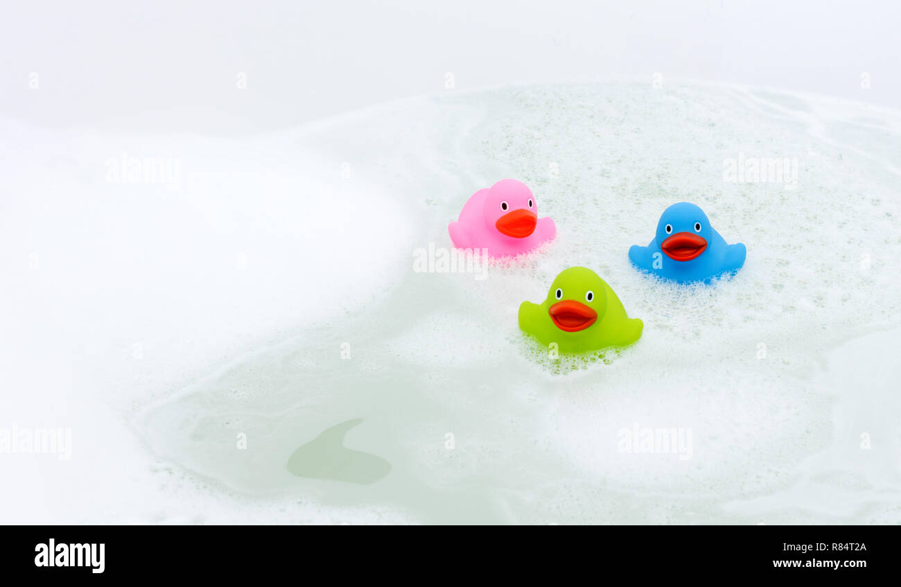 Pink, green and blue duck in a bathtub, surrounded by soap Stock Photo ...