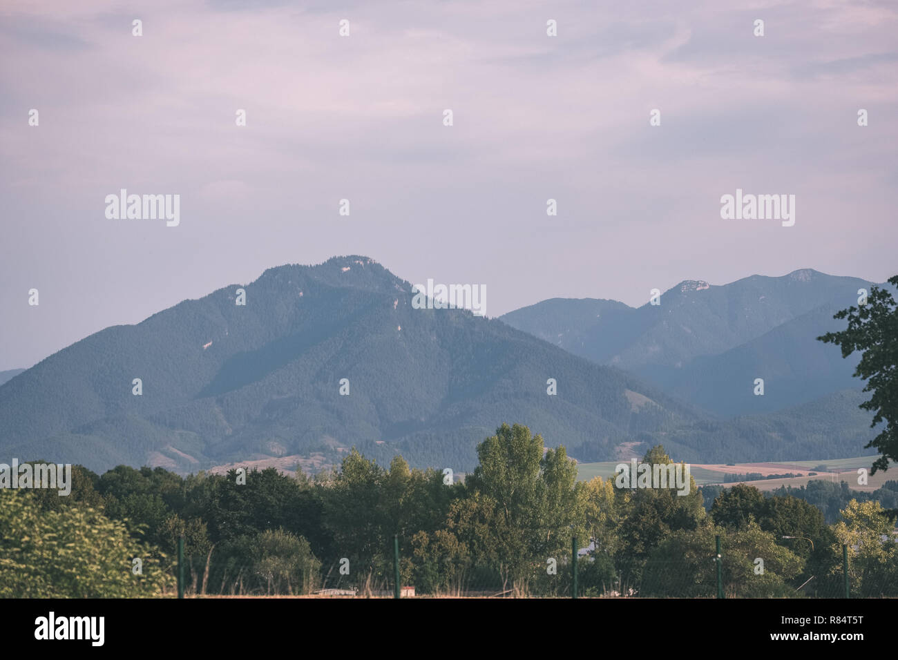 western carpathian mountain tops in autumn covered in mist or clouds ...