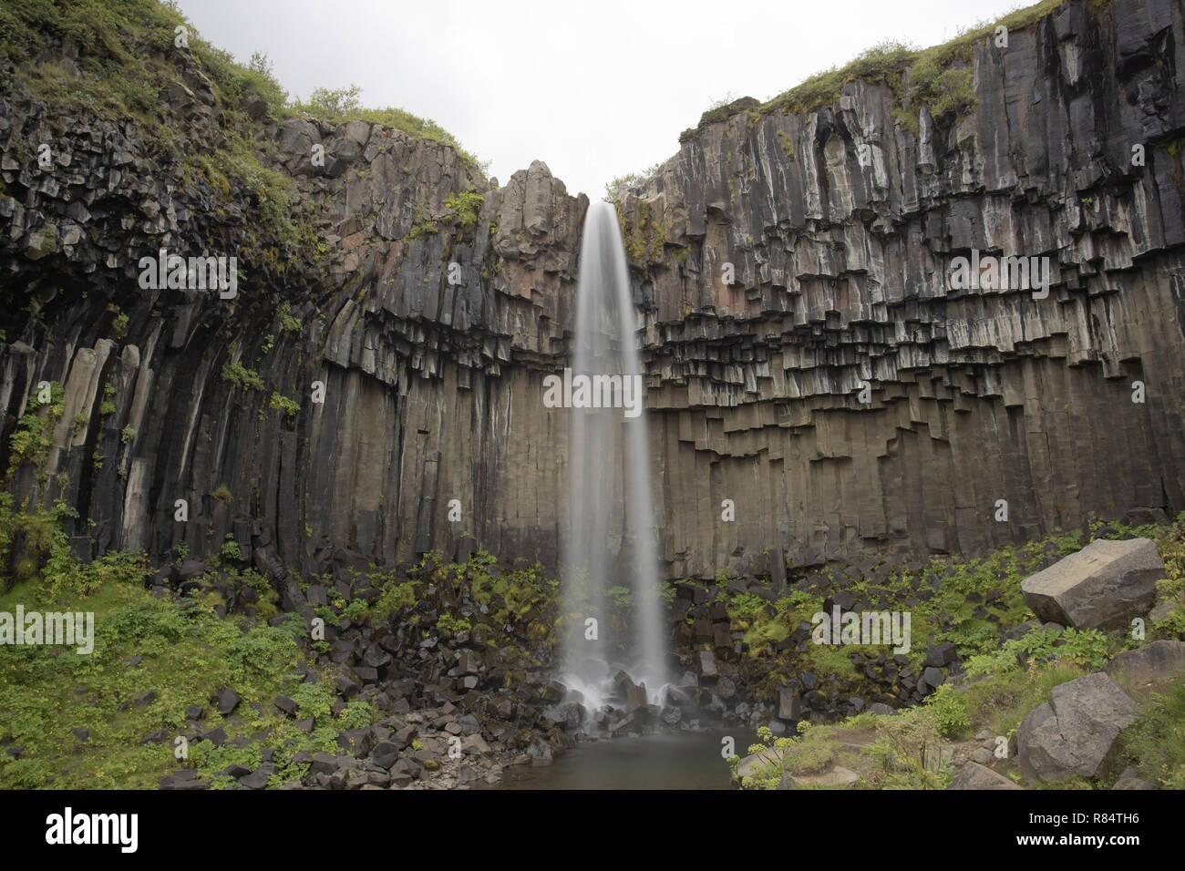 Svartifoss Waterfall and basalt columns, Iceland Stock Photo