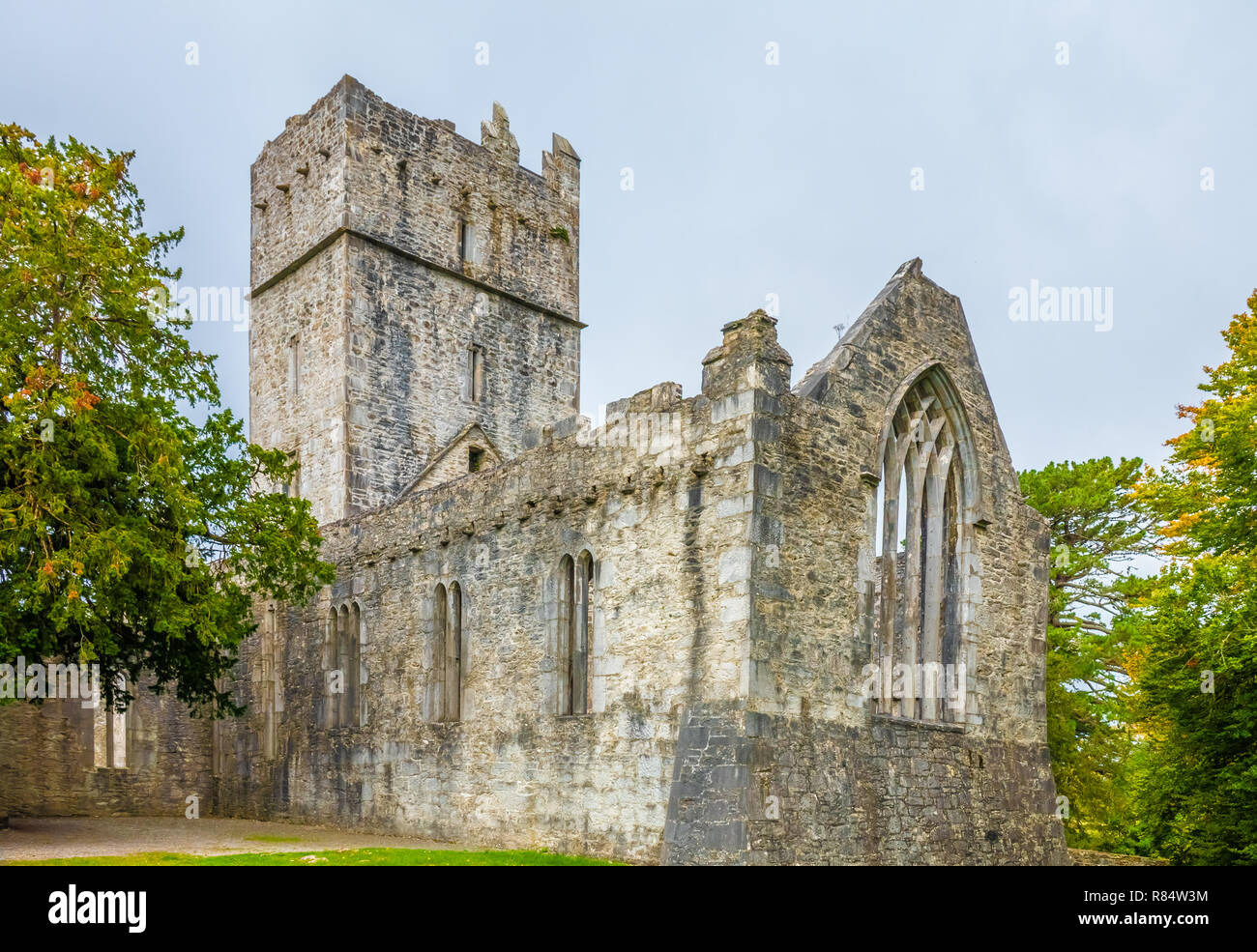 Ruins Of The Muckross Abbey Founded In 1448 As A Franciscan