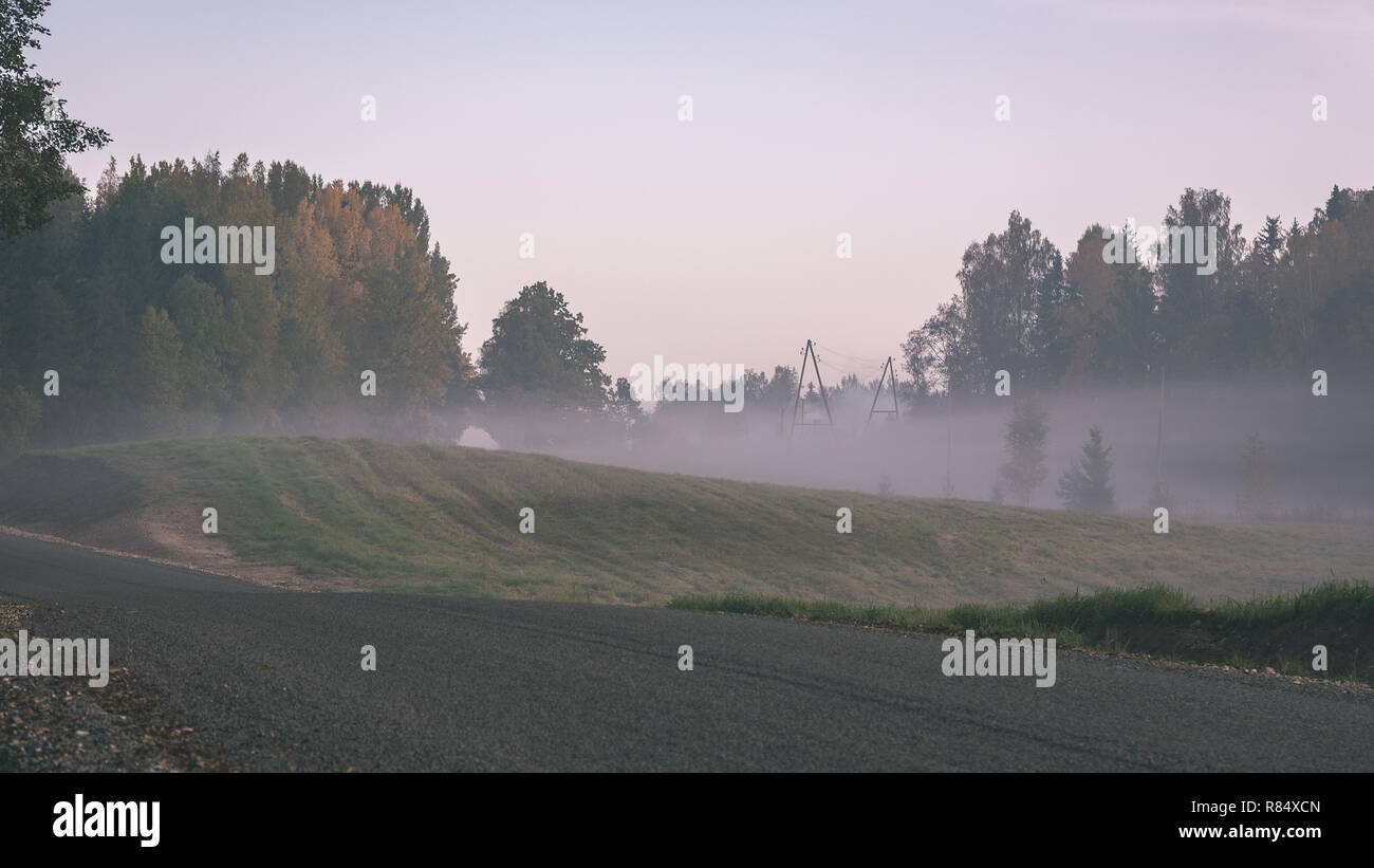 foggy country road in autumn with mist and asphalt. fall colors ...