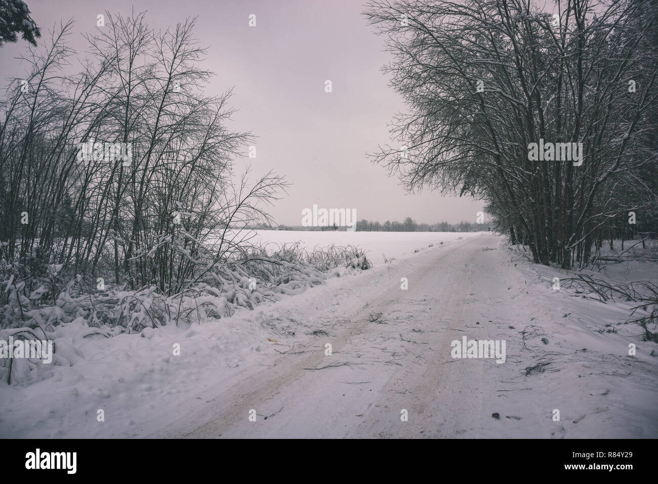 snow and ice covered road in countryside in winter with tire tracks ...