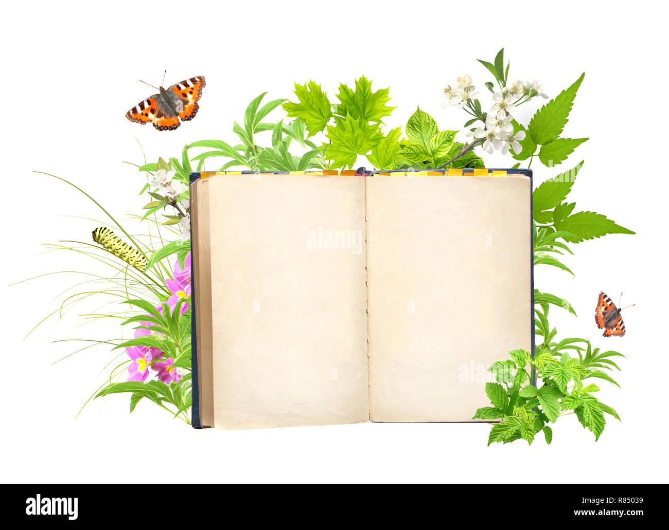 Раскрытая книга фон для презентации