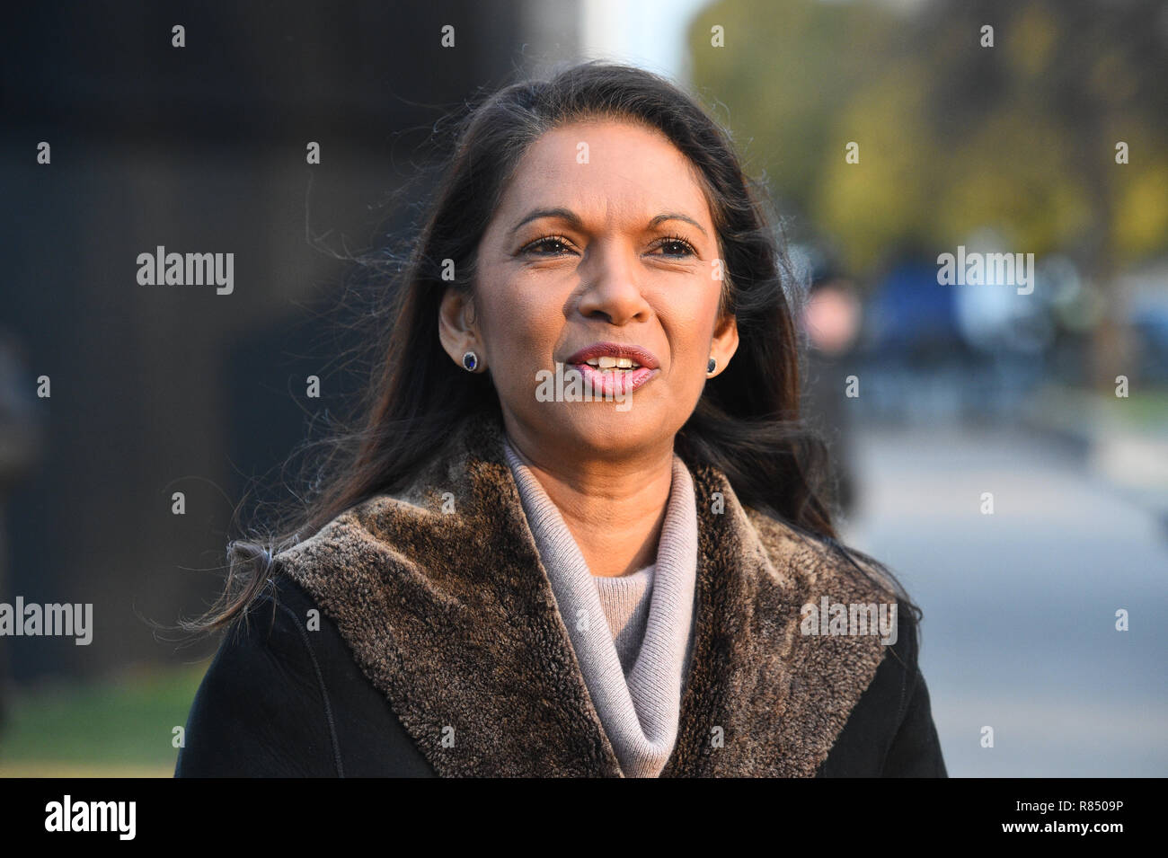 Campaigner Gina Miller on College Green in Westminster the morning after Prime Minister Therea May survived an attempt by Conservative MPs to oust her with a vote of no confidence. Stock Photo
