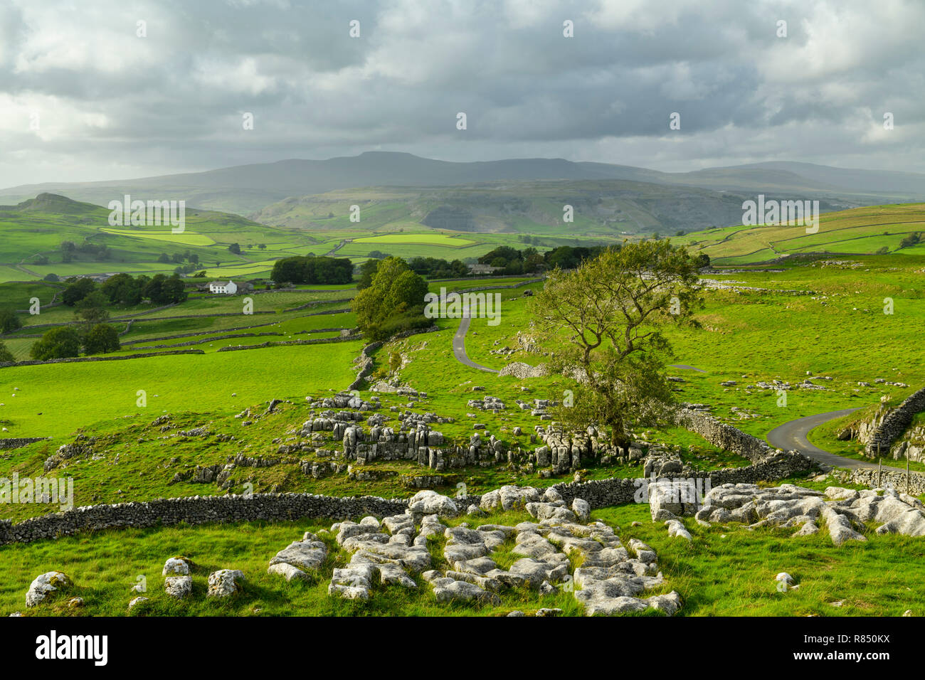 Scenic view across limestone pavement & rolling upland countryside from Winskill Stones, above Langcliffe & Stainforth, Yorkshire Dales, England, UK. Stock Photo