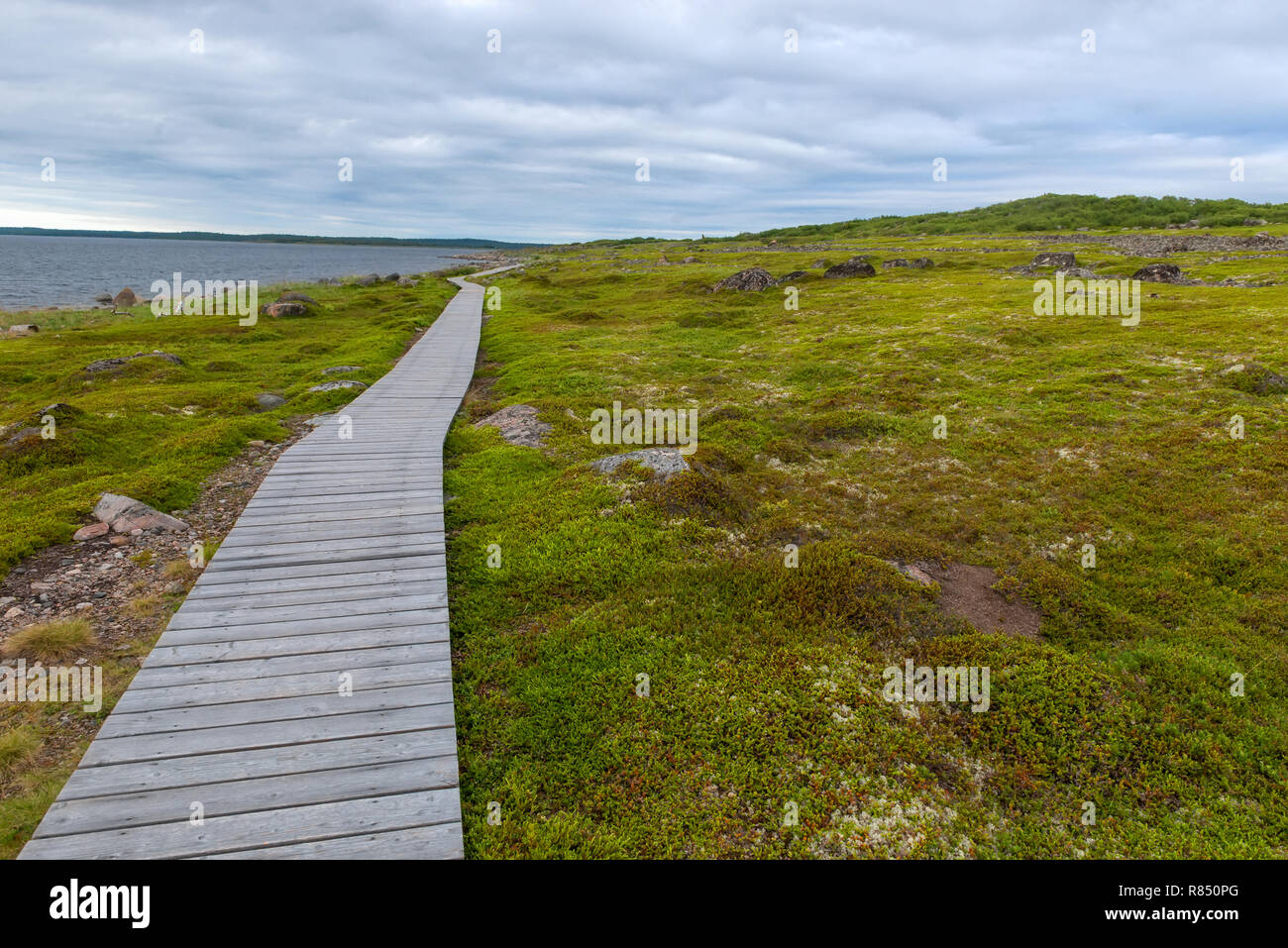 Hiking trail is equipped with wooden flooring on the Bolshoy Zayatsky Island. Solovetsky archipelago, White sea, Russia Stock Photo