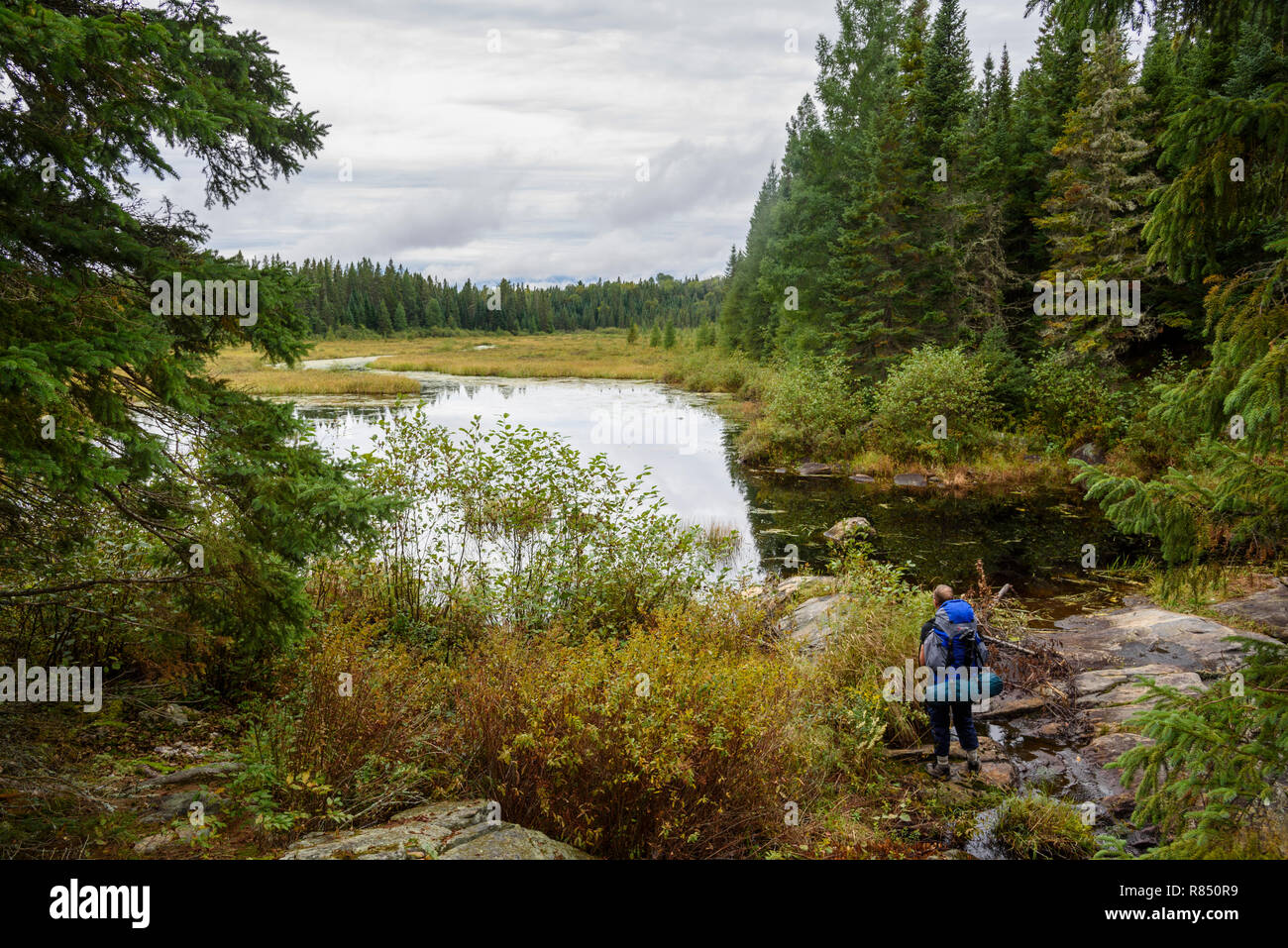 algonquin backpacking trails