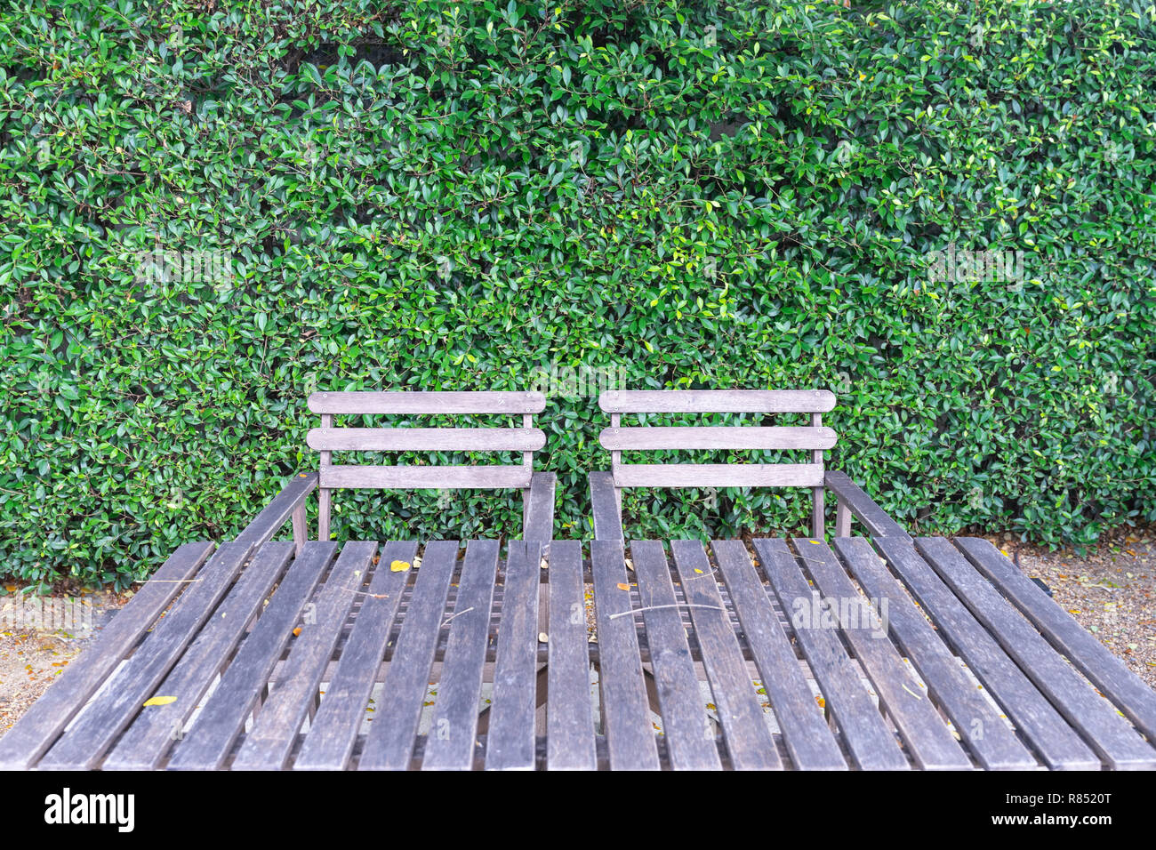 two wooden chairs and wooden table against green leaf wall Stock Photo ...