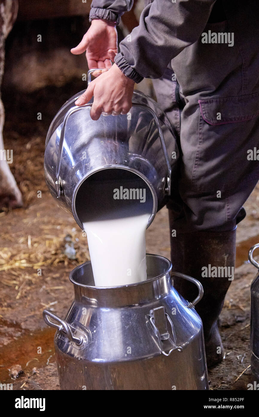 Milking industry hi-res stock photography and images - Alamy