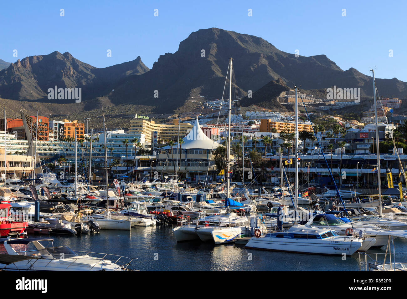 Puerto Colón ,Tenerife, canary island, a spanish island, spain,off the coast of north west