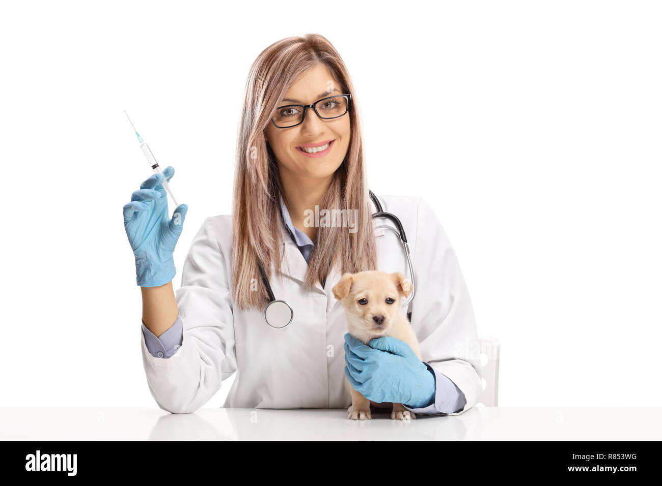 Young female vet doctor holding an injection for a little puppy and looking at the camera isolated on white background Stock Photo