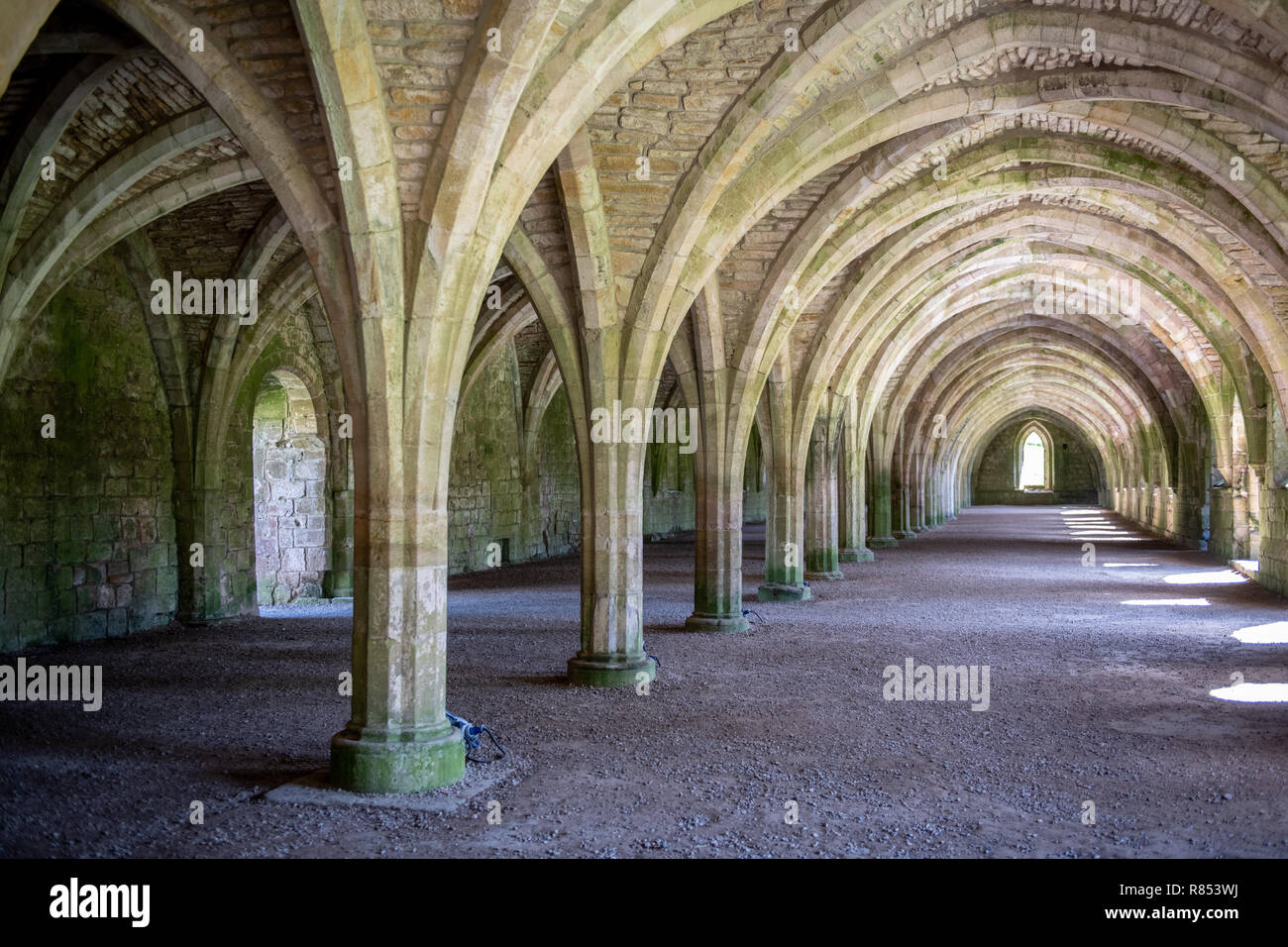 Dozens Of Columns Help To Produce Supportive Rib Vaulted Ceilings