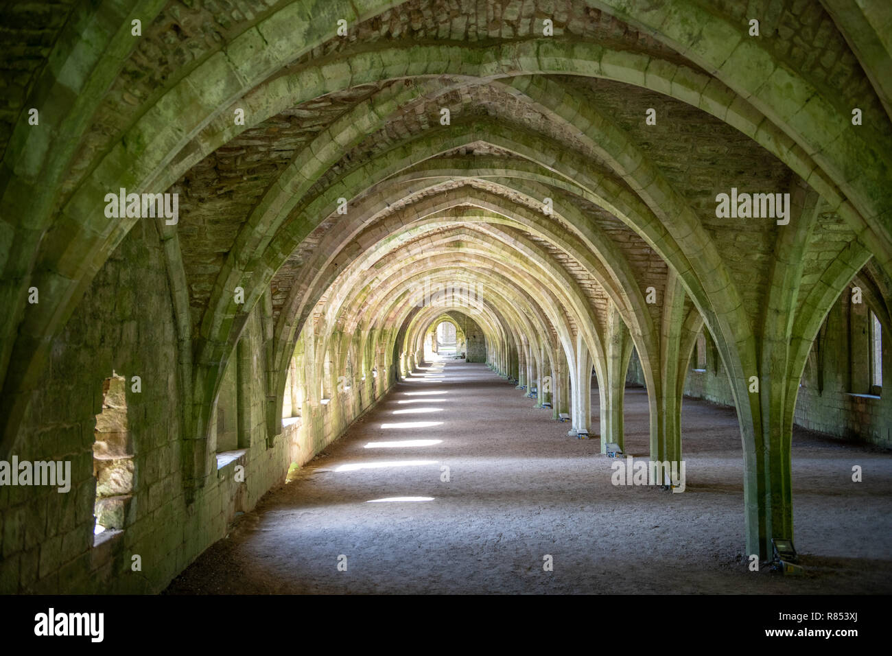 Rib vaultings repeat along the ceiling of the Fountains Abbey cellarium
