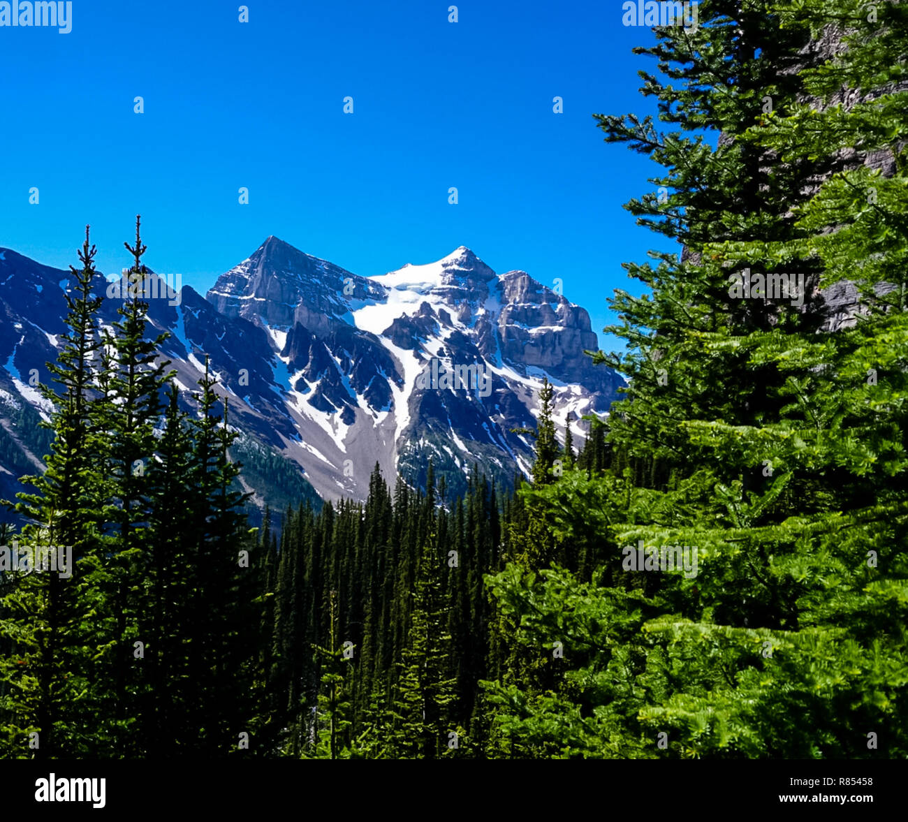 The Mountains along the Tea House Trail in the Rocky Mountains in Banff National Park in Alberta Canada Stock Photo
