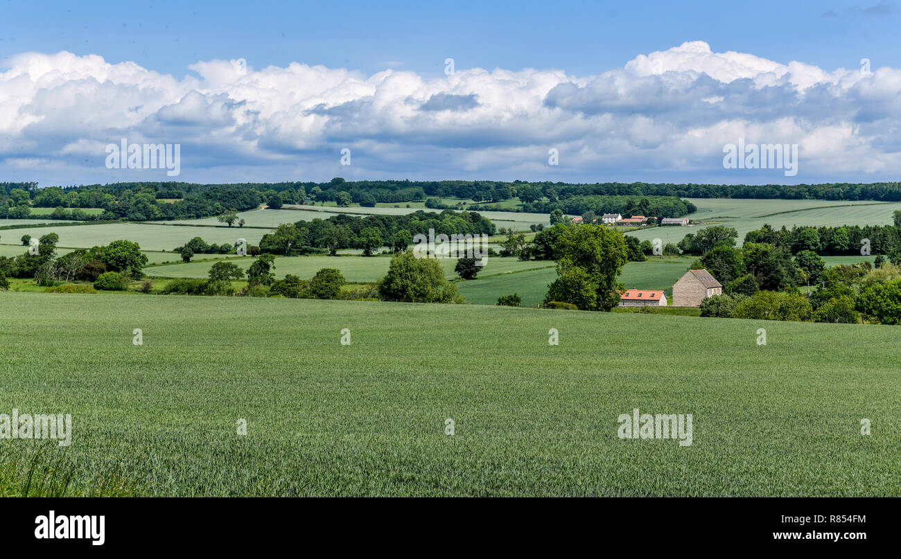 The tranquil and picturesque Richmond countryside, Yorkshire , UK Stock Photo
