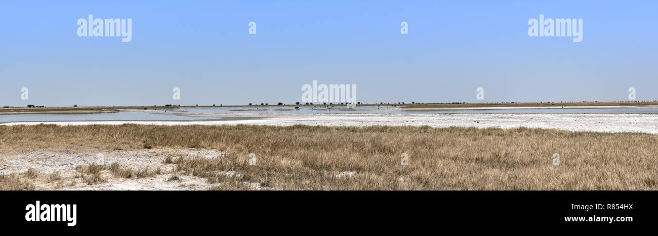 Panoramic of the Nwetwe, Makgadikgadi Pan in Botswana Stock Photo