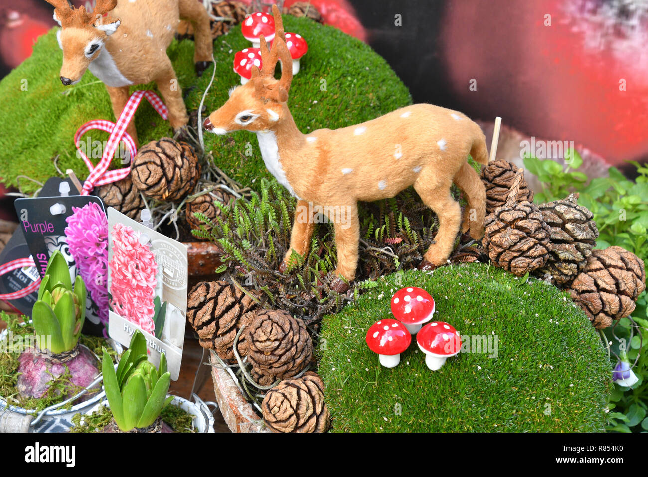 Festive Christmas display of deer, fir cones, bulbs,toadstools and mosses outside a florists shop. Somerset. UK Stock Photo
