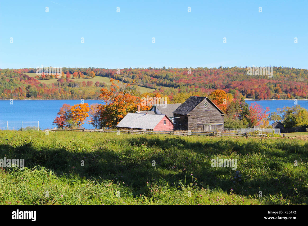 Quaint country houses  surrounded by colorful autumn leaves with dirt road and blue sky in Kings Landing, New Brunswick, Canada Stock Photo