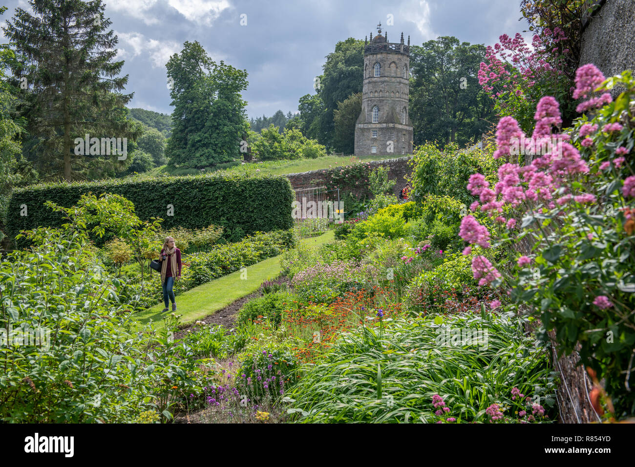 A tourist walks through the colorful grounds of Kiplin Hall, Richmond, Yorkshire , UK Stock Photo